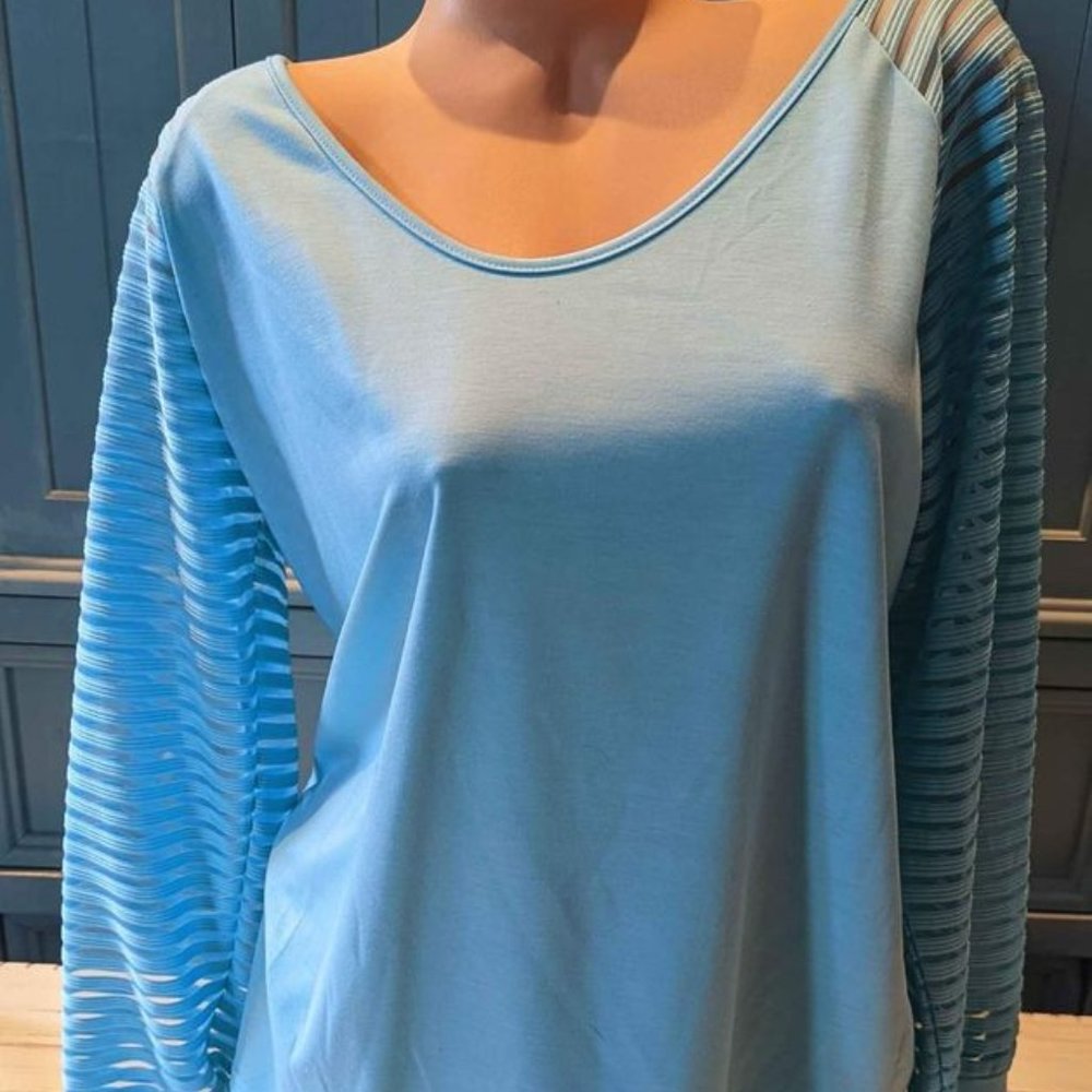 Women's Blue Sheer Long Sleeve Shirt Top X-Large